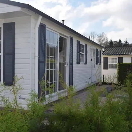 Heggemus 오이스터위지크