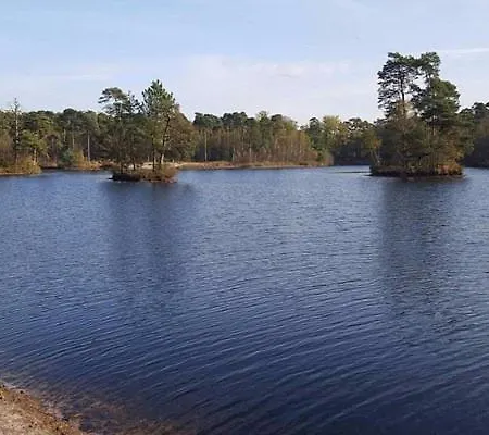 Heggemus Oisterwijk