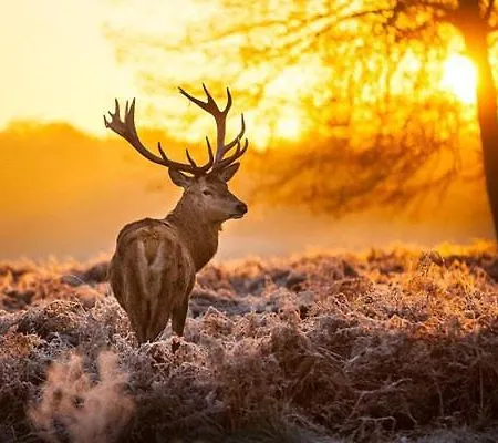 샬레 Heggemus 오이스터위지크