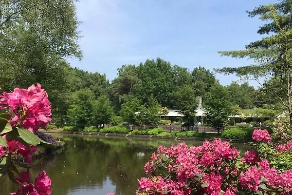 Alpehytte Heggemus *