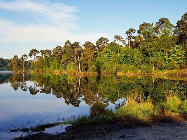 Alpehytte Heggemus *